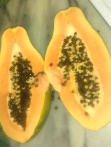 papaya cut
